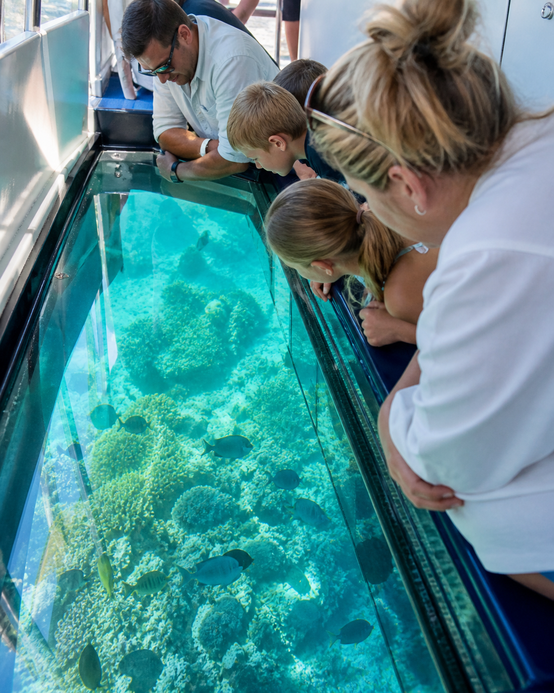 Glass Bottom Boat excursion in Punta Cana